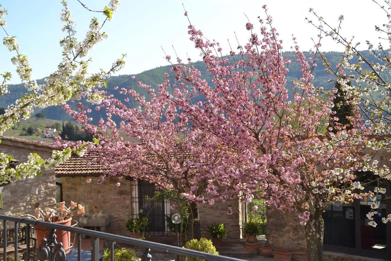 Country house Podere Vignola Pontassieve Italy