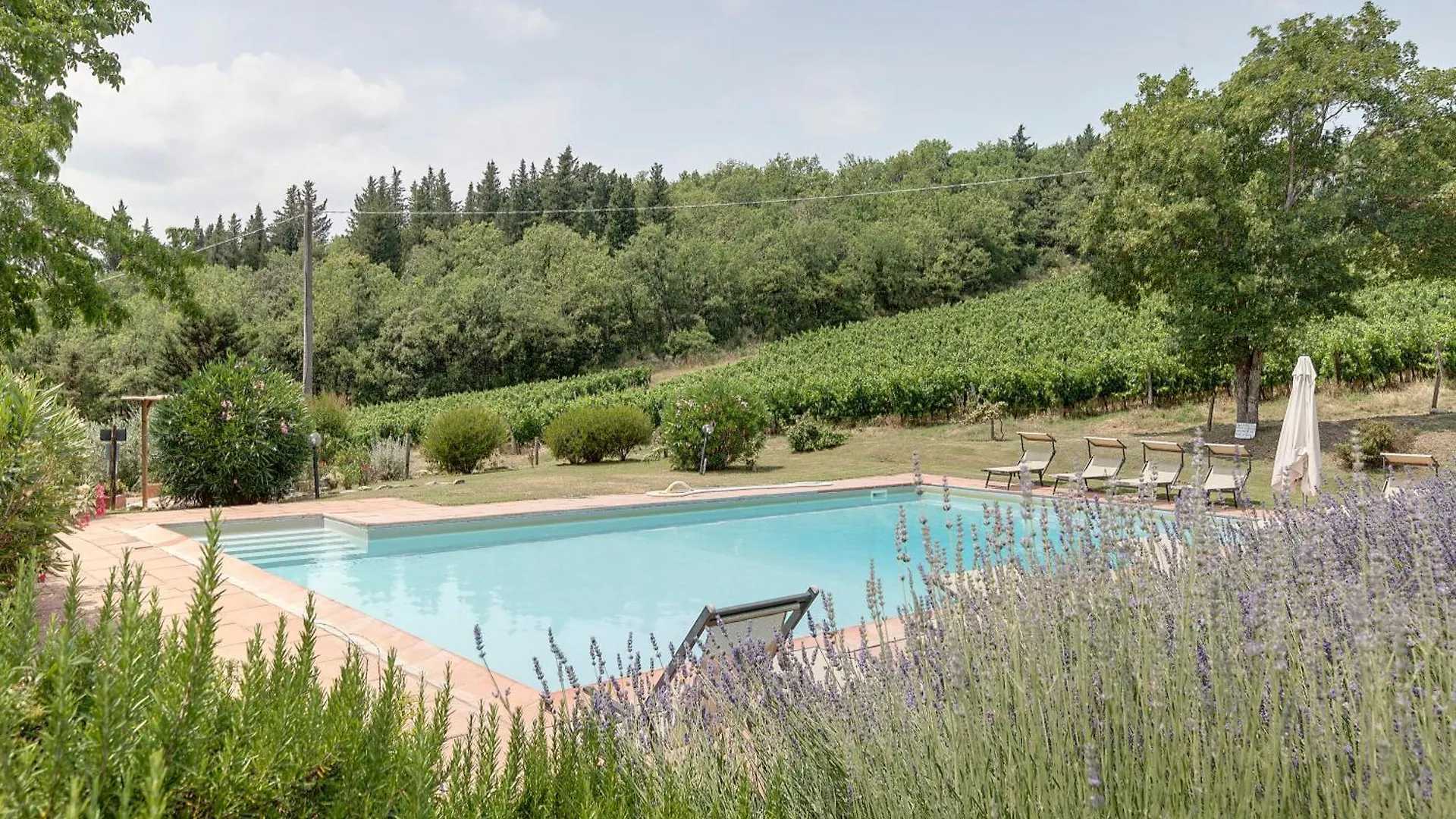 Podere Vignola Pontassieve