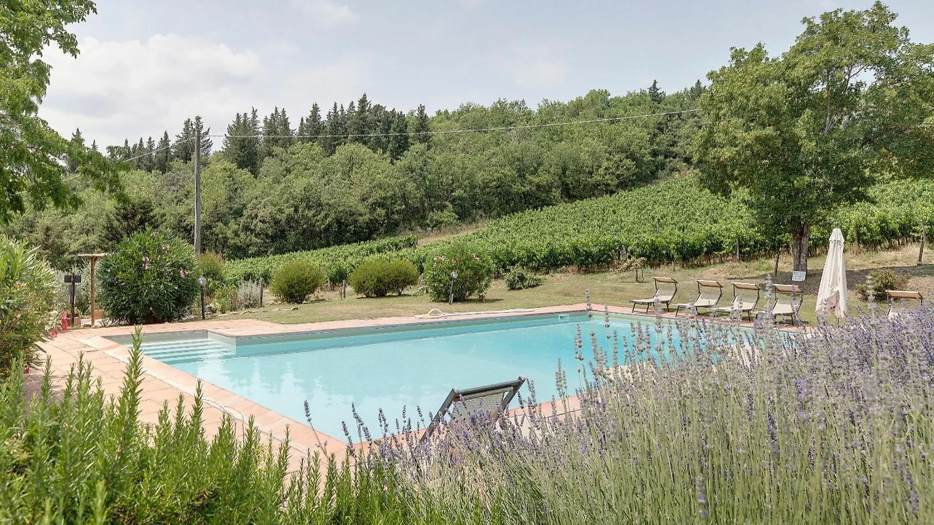 Podere Vignola Pontassieve Casa di campagna